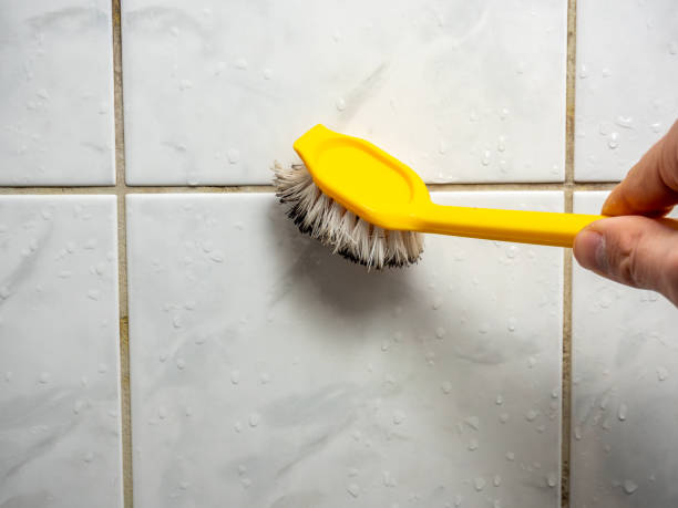 Best Best Mold Removal Companies  in Heathcote, NJ
