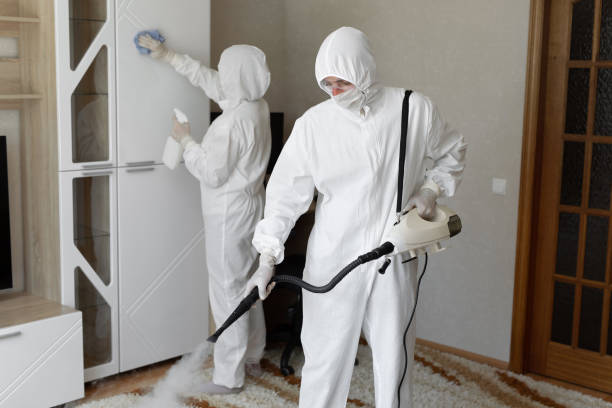 Best Mold Remediation  in Heathcote, NJ