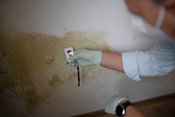 Best Toxic Mold Removal  in Heathcote, NJ