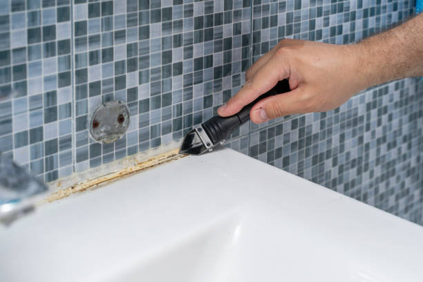 Trusted Heathcote, NJ Mold Removal Experts