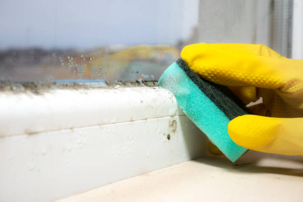 Best Crawl Space Mold Removal  in Heathcote, NJ