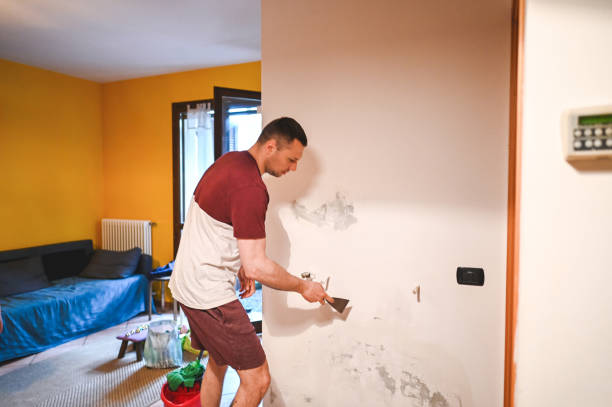 Certified Mold Removal in Heathcote, NJ