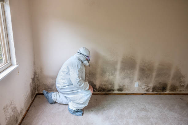 Best Emergency Mold Removal  in Heathcote, NJ