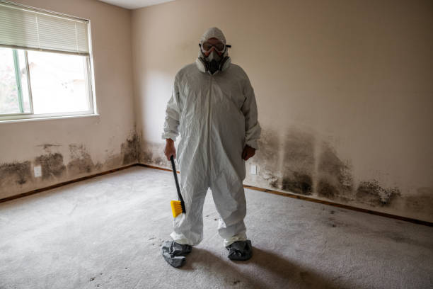 Best Mold Removal Specialists  in Heathcote, NJ