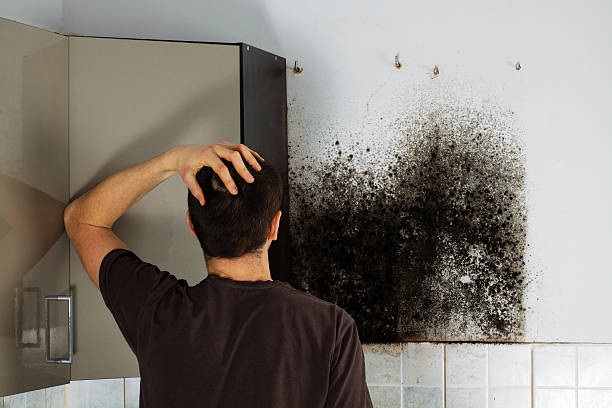 Best Attic Mold Removal  in Heathcote, NJ