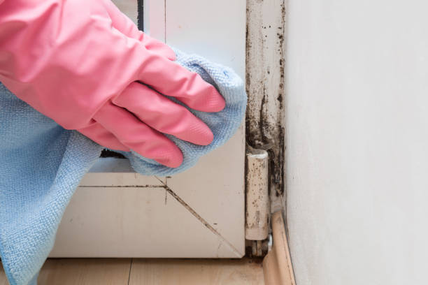 Best Certified Mold Removal  in Heathcote, NJ
